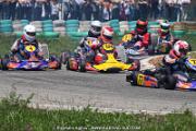 20110501_ales_agnus (2589)